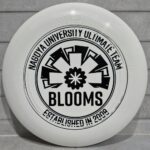 Ultimate Frisbee JStar - маленький 24см Ultrastar для детей (разные картинки в вариациях) — изображение 2
